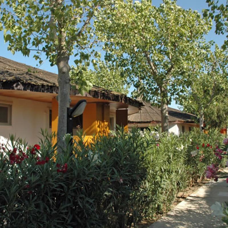 African Beachotel 7